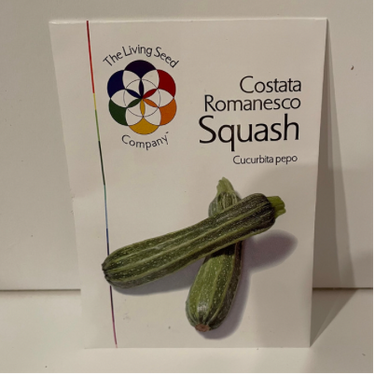 Costata Romanesco Zucchini, 1600's Heirloom